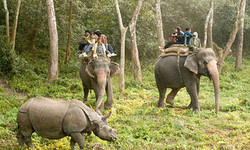 Chitwan Safari